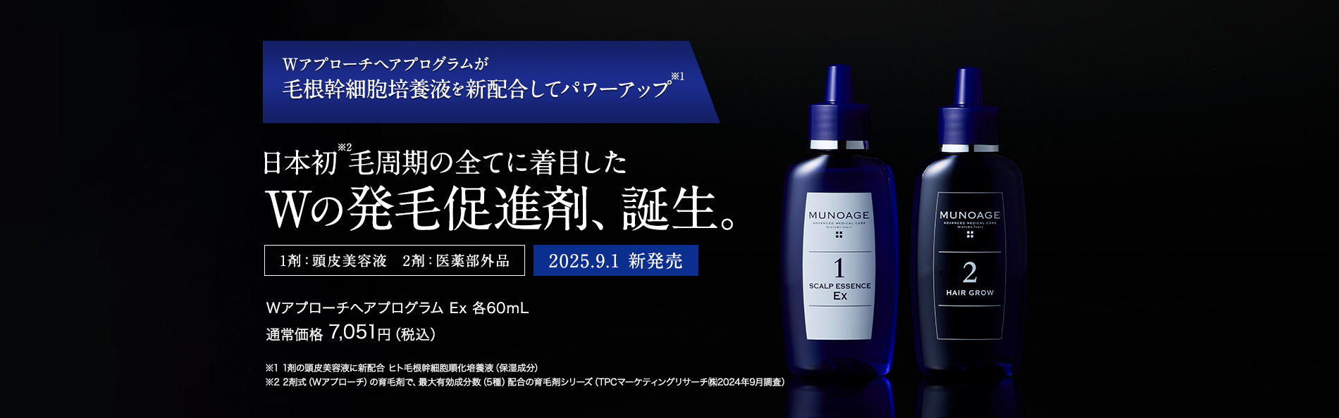 WアプローチヘアプログラムEx