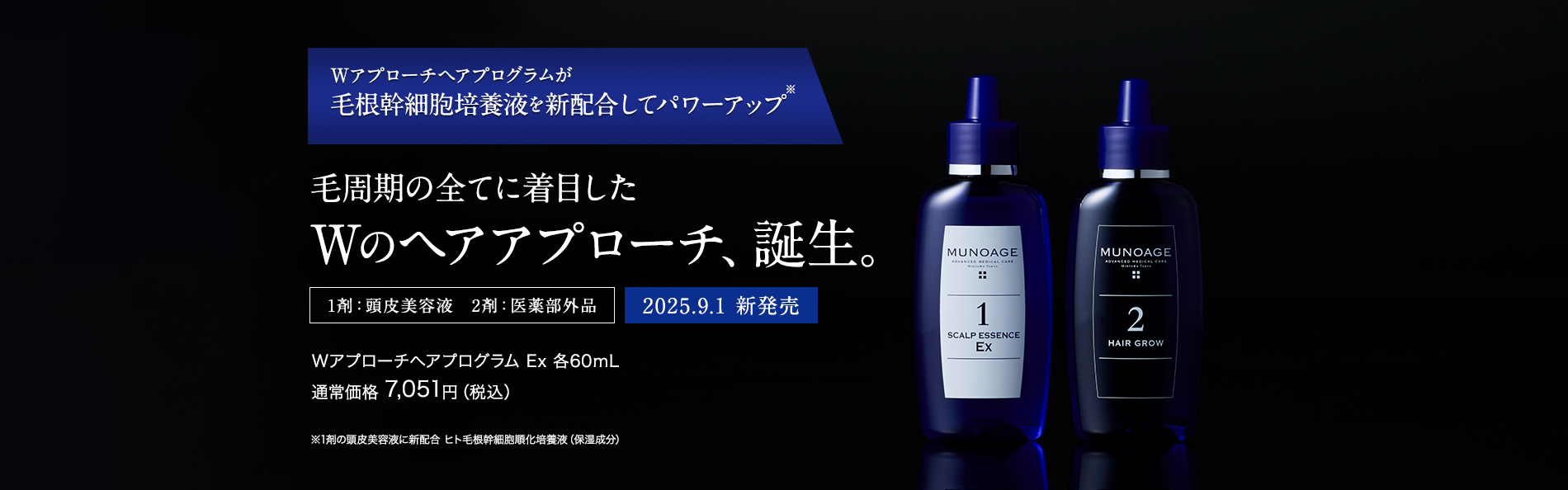 WアプローチヘアプログラムEx