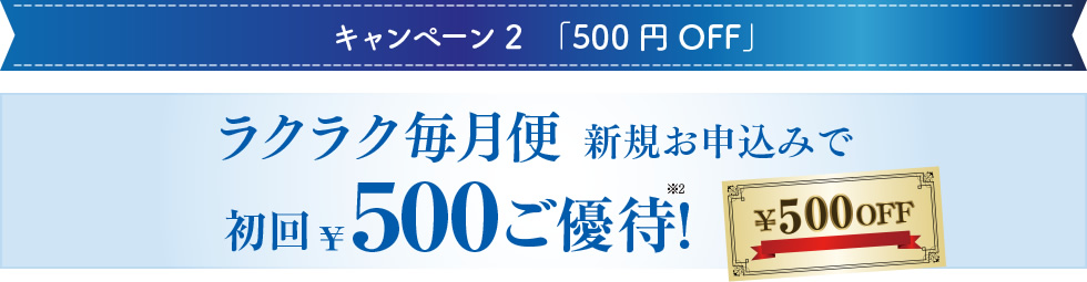 キャンペーン2「500円OFF」