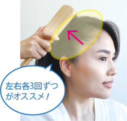 左右の側頭筋にそって