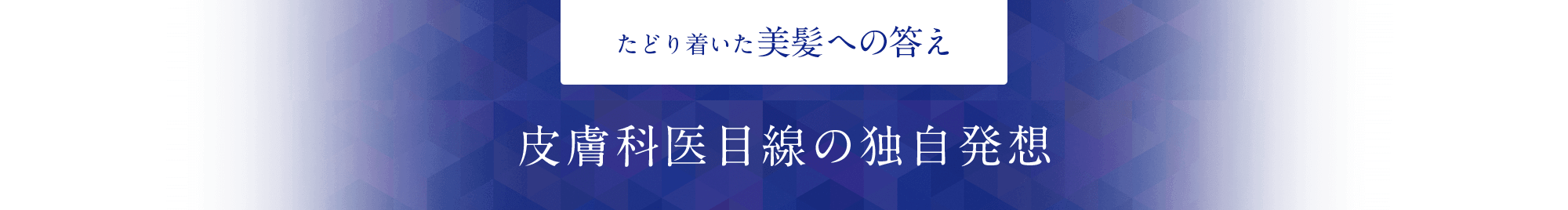 たどり着いた美髪への答え 皮膚科医目線の独自発想
