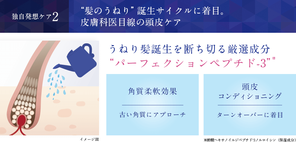 “髪のうねり”誕生サイクルに着目。皮膚科医目線の頭皮ケア