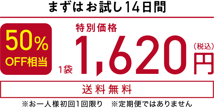 50%OFF 特別価格 1,620円送料無料