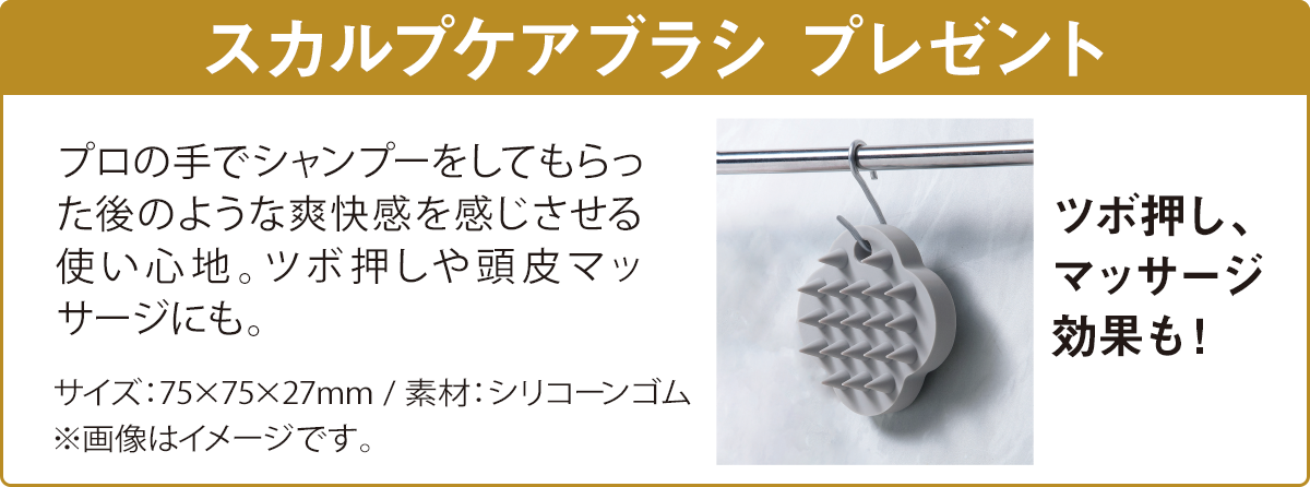 ウィンターコフレ2025-Eヘッドリフレッシャーご使用方法