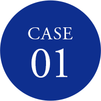 case 01