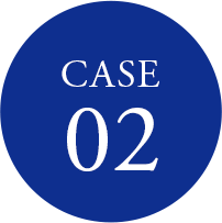 case 02