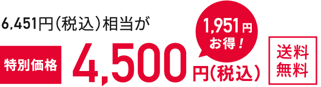 特別価格4,500円（税込）