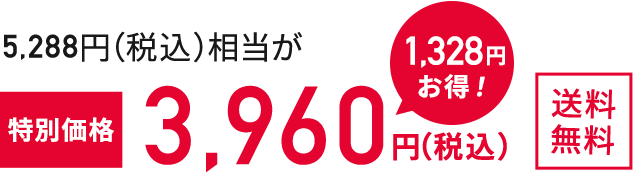 特別価格3,960円（税込）