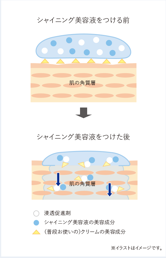 シャイニング美容液（シャイニングトリートメントセラム）| MUNOAGE