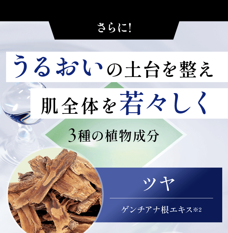 うるおいの土台を整え肌全体を若々しく