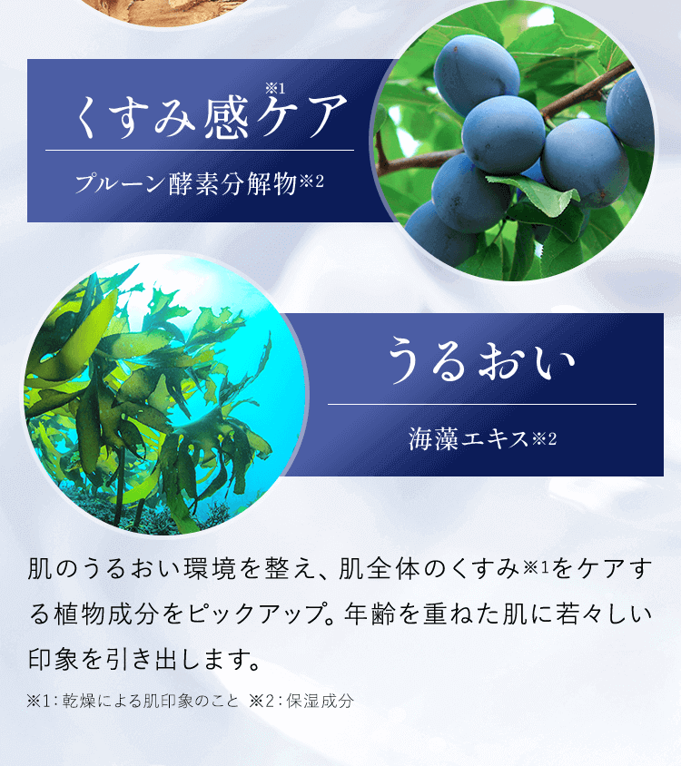 肌のうるおい環境を整え、肌全体のくすみ※1をケアする植物成分をピックアップ。
