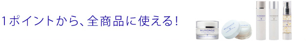 1ポイントから、全商品に使える！