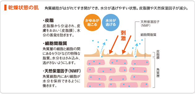 乾燥状態の肌