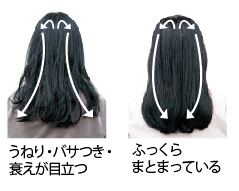 あなたはどっち