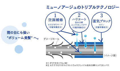 独自のトリプルテクノロジー